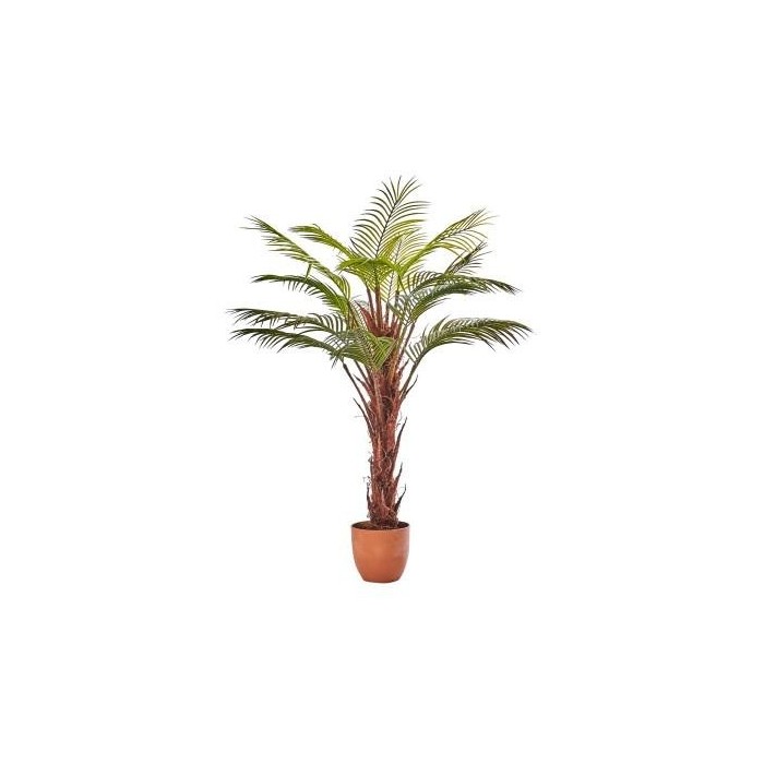 PIANTA ARECA X16 100CM